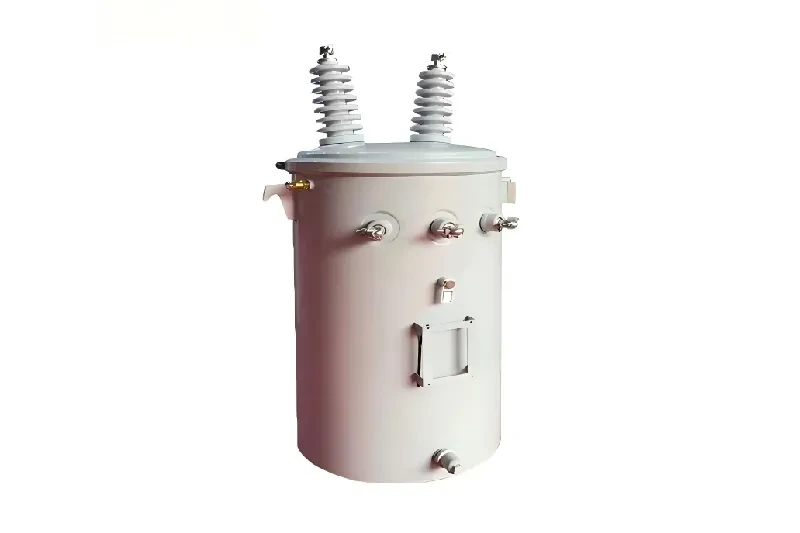 Transformateur monté au pôle monophasé 100kVA